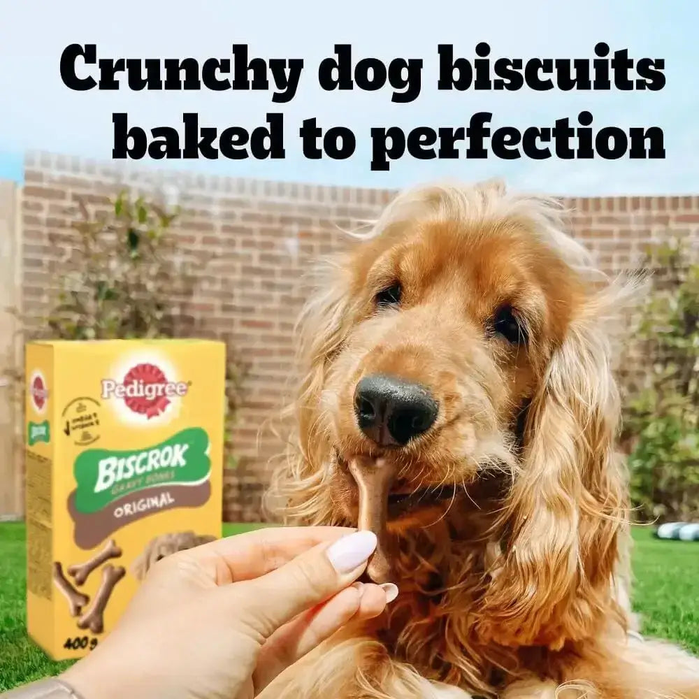 A yellow pedigree dog treats biscrok gravy bones original box with green brown label and bone shaped treats image