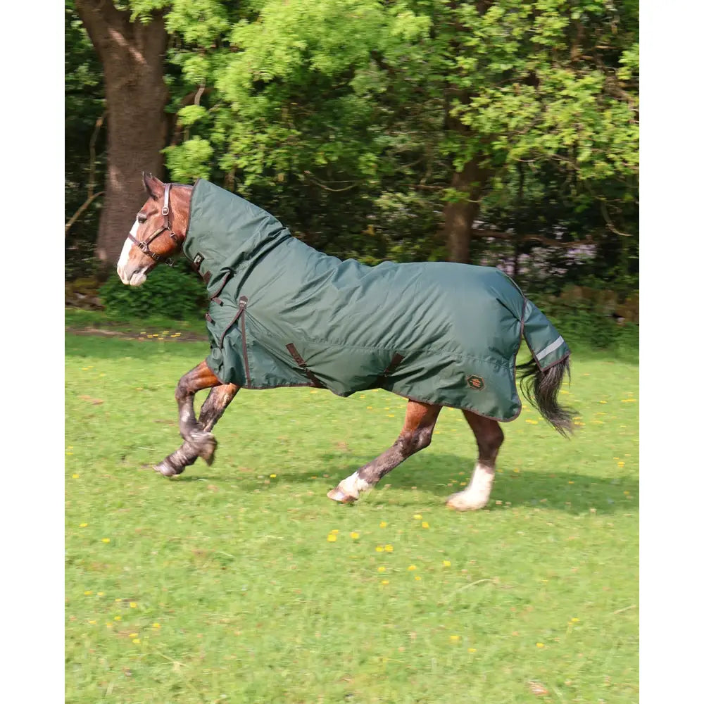 Dark green waterproof perf combo 200g turnout rug with black straps and reflective tail strip shown from back side
