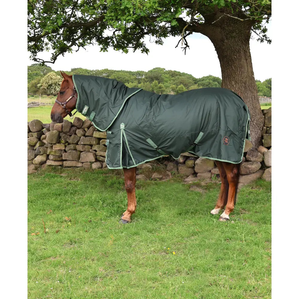 Dark green waterproof turnout rug with light green trim and adjustable straps featuring perf detachable neck design