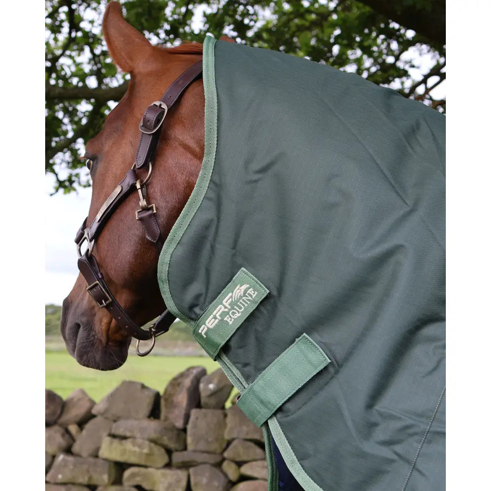 Dark green perf detachable neck horse hood with matching trim and branded patch for 300g heavy weight turnout rug