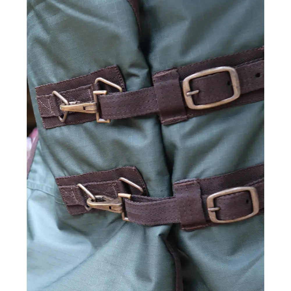 Dark green perf detachable neck turnout rug with brown webbing straps and brass buckles for horses