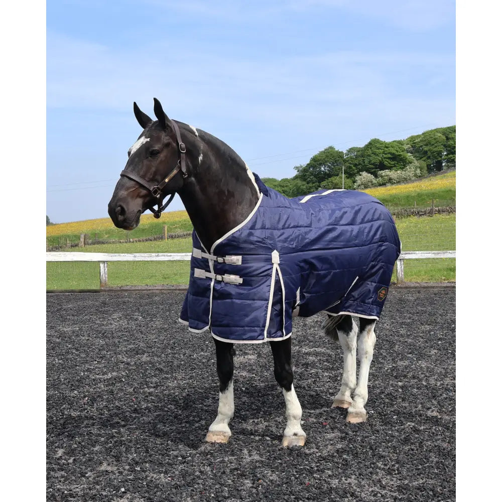 Navy blue quilted perf standard 100g light stable rug with white trim and silver buckles for horses