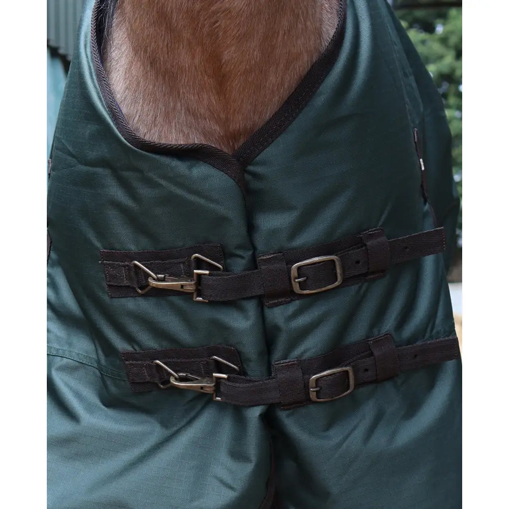 Dark green perf standard 200g medium weight turnout rug for horses with brown straps and metal buckles