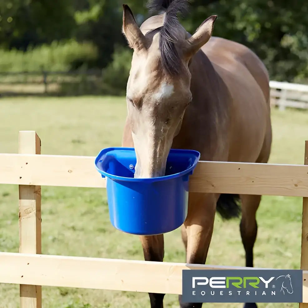 Blue plastic horse feed bucket hanging on wooden fence with perry equestrian portable manger equestrian hook