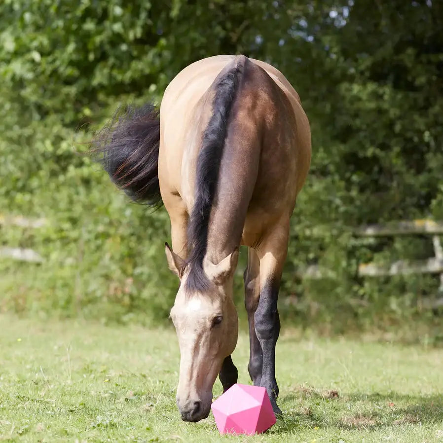 A tan horse grazing near a bright pink perry equestrian one piece moulded feed ball for controlled feeding and natural foraging