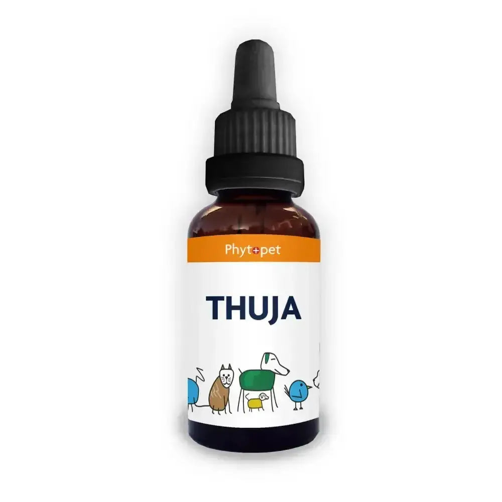 A small amber glass bottle with black dropper cap and white phytpet thuja antiviral label featuring colorful pet illustrations