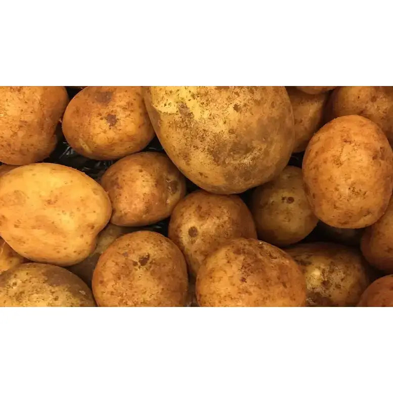 A pile of earthy brown rough-skinned potatoes with natural speckles perfect for equestrian supplies snacks or credit card payments