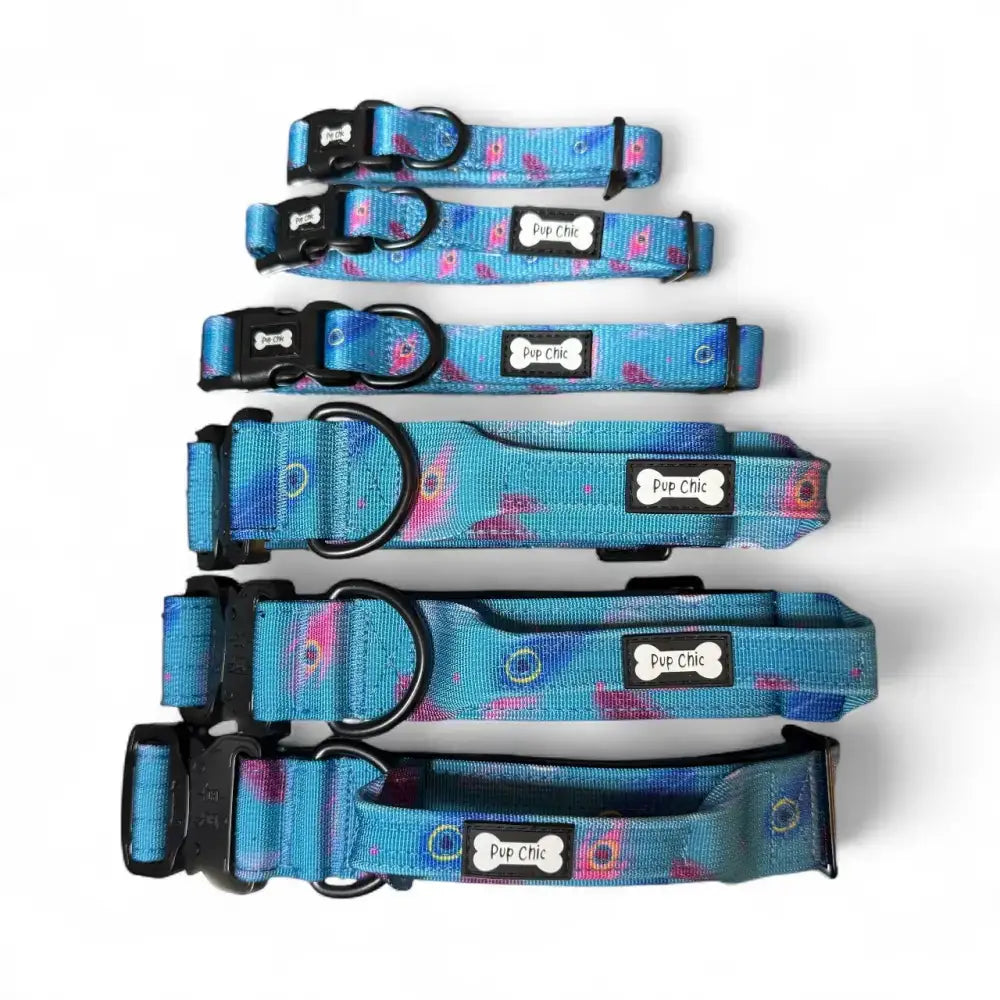 Set of five strong large peacock power dog tactical dog collars in blue and pink with floral pattern and pup chic label