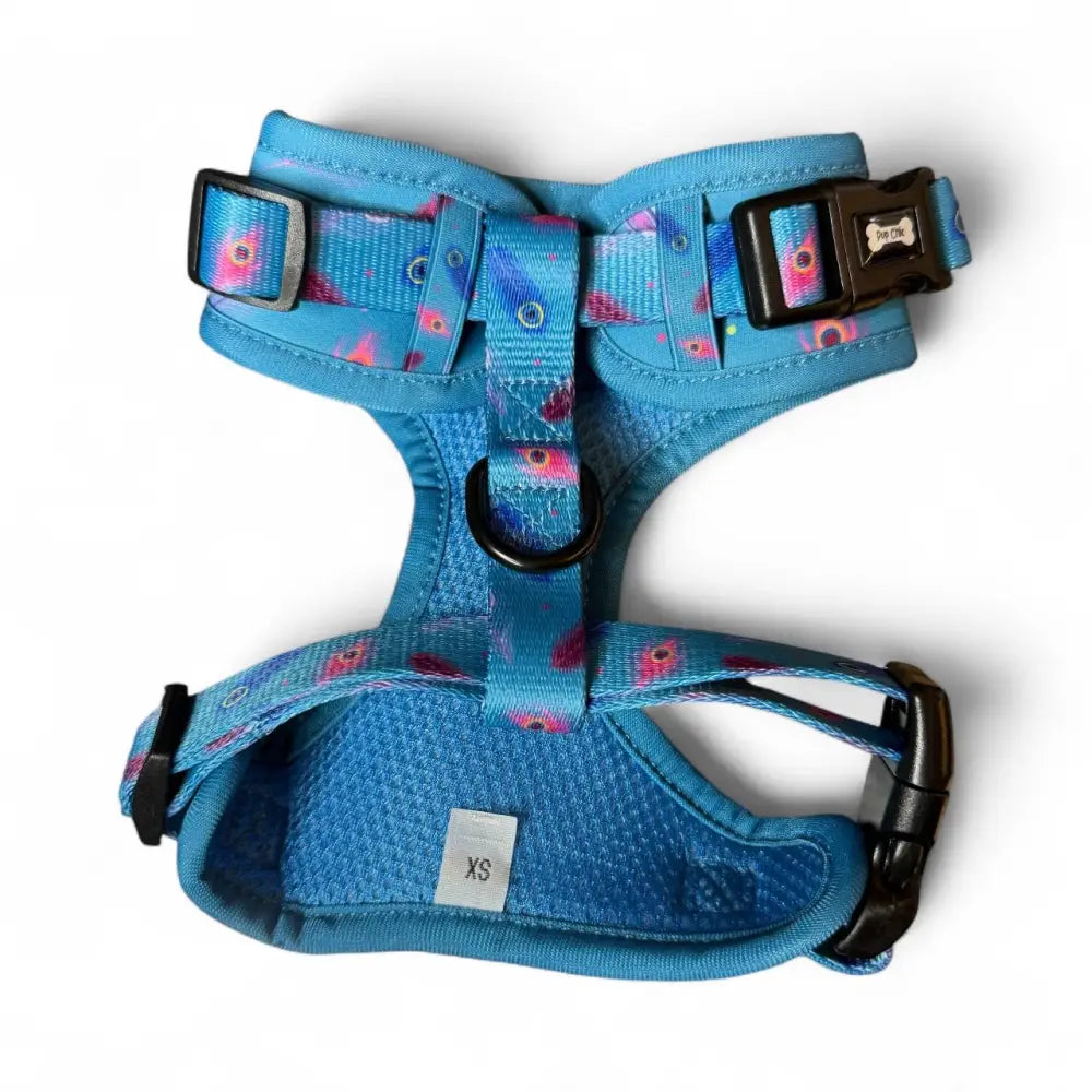 Vibrant blue power peacock step-in adjustable small dog harness with pink floral pattern and mesh lining for comfort