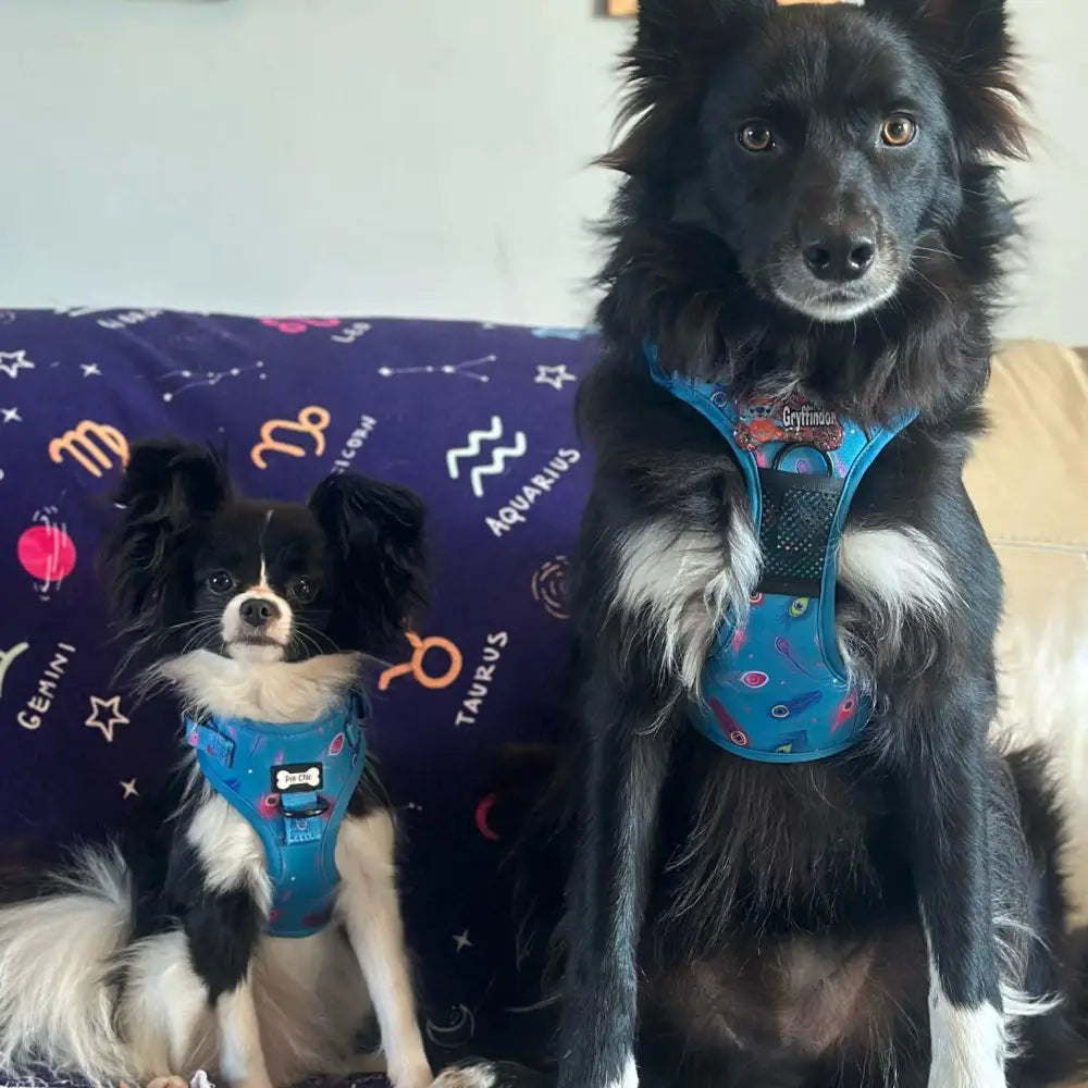 Blue patterned power peacock step-in adjustable small dog harness with mesh panel and straps perfect for puppies