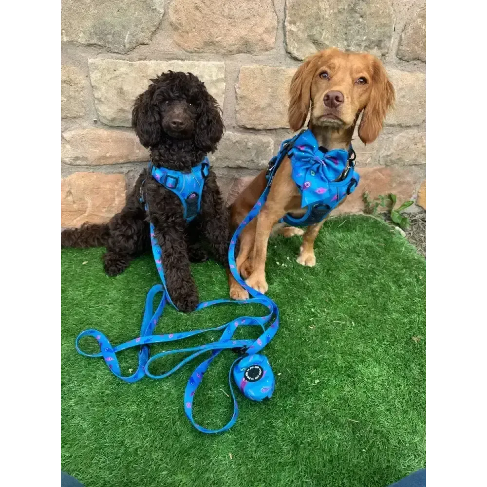 Power Peacock Tactical Dog Harness – No Pull & Fully Adjustable XS
