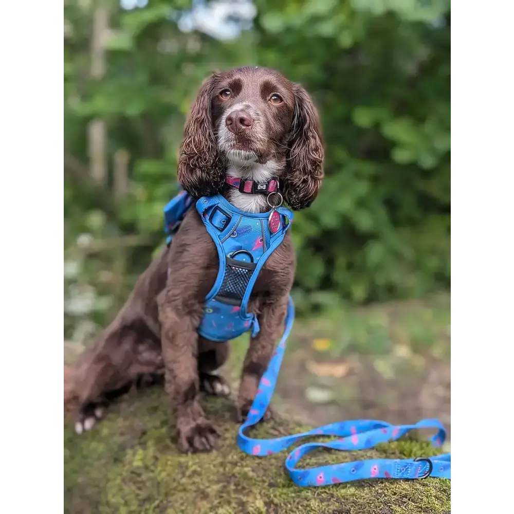 Power Peacock Tactical Dog Harness – No Pull & Fully Adjustable XS