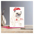 Deckled Edge Christmas Card Rosa Happy Pugmas Gift Cards Barnstaple Equestrian Supplies