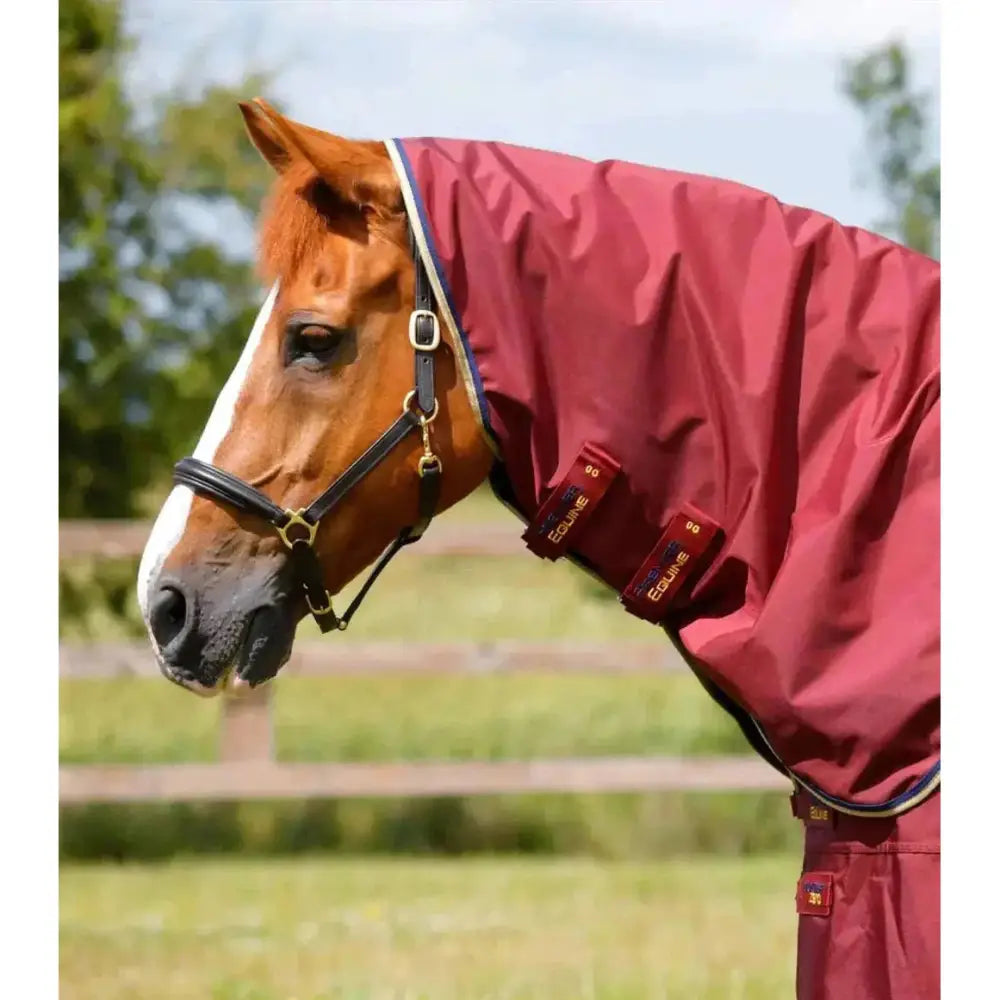 Maroon premier equine buster turnout rug with black and gold trim made from durable denier ballistic nylon