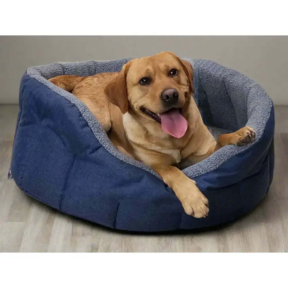 Blue plush premium oval bolster dog bed with soft gray heavy duty fleece lining machine washable and durable