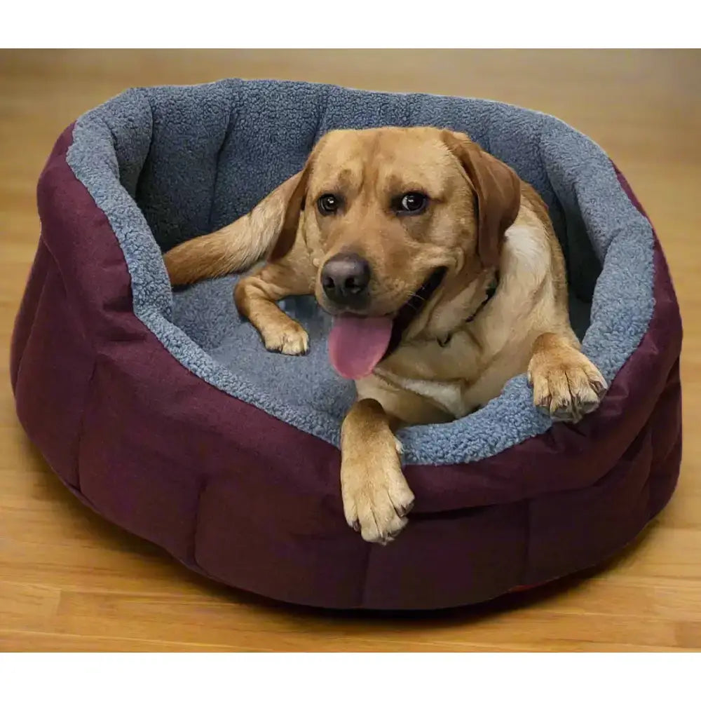 A cozy premium oval bolster dog bed with plush maroon exterior and heavy duty fleece lined blue interior, machine washable