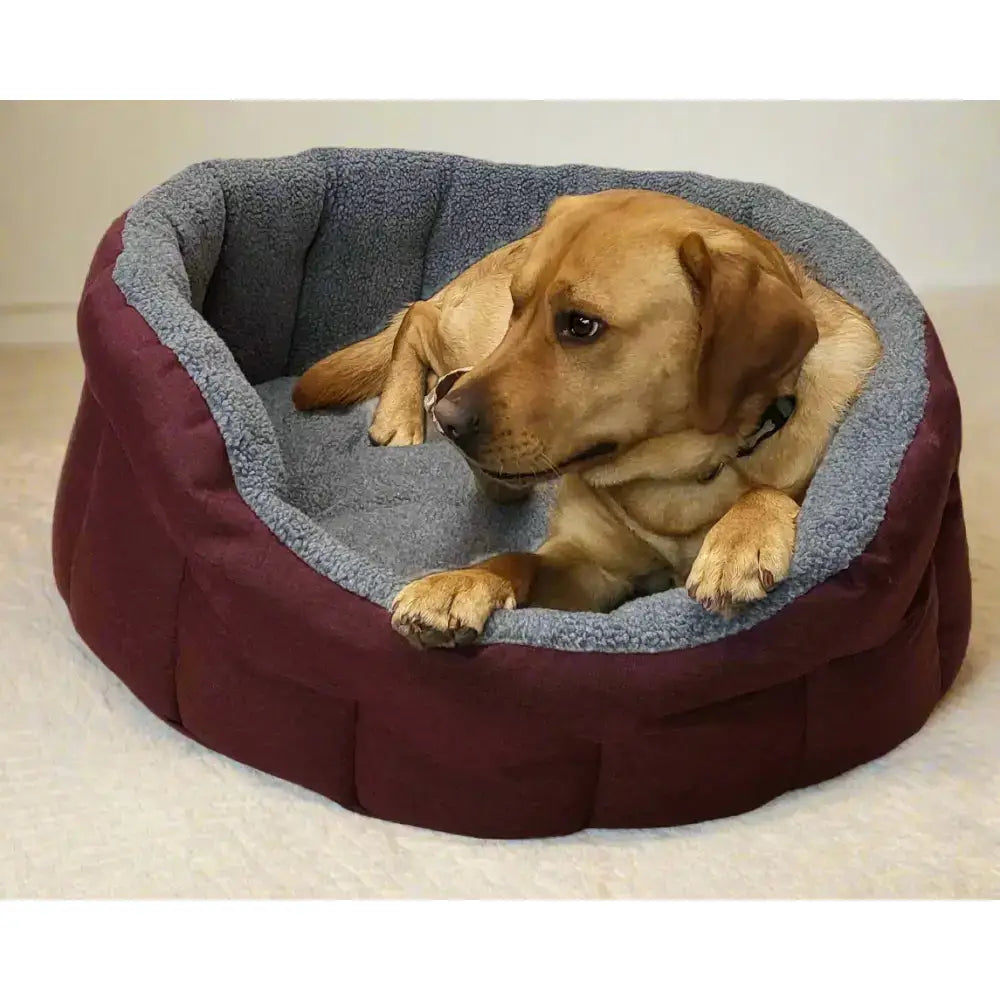 Maroon and gray premium oval bolster heavy duty fleece lined dog bed with a cozy cushioned interior machine washable