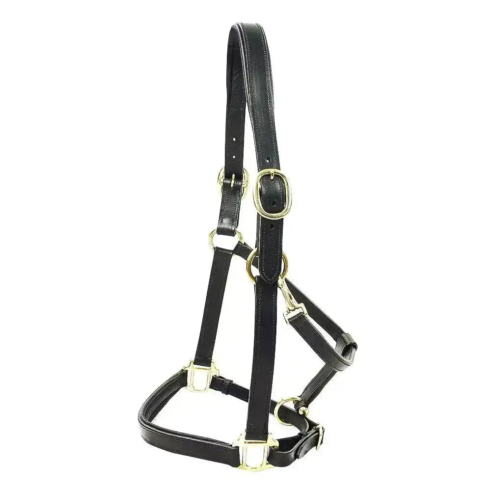 Black leather primera padded leather headcollar with gold-toned hardware and buckle for comfortable horse use