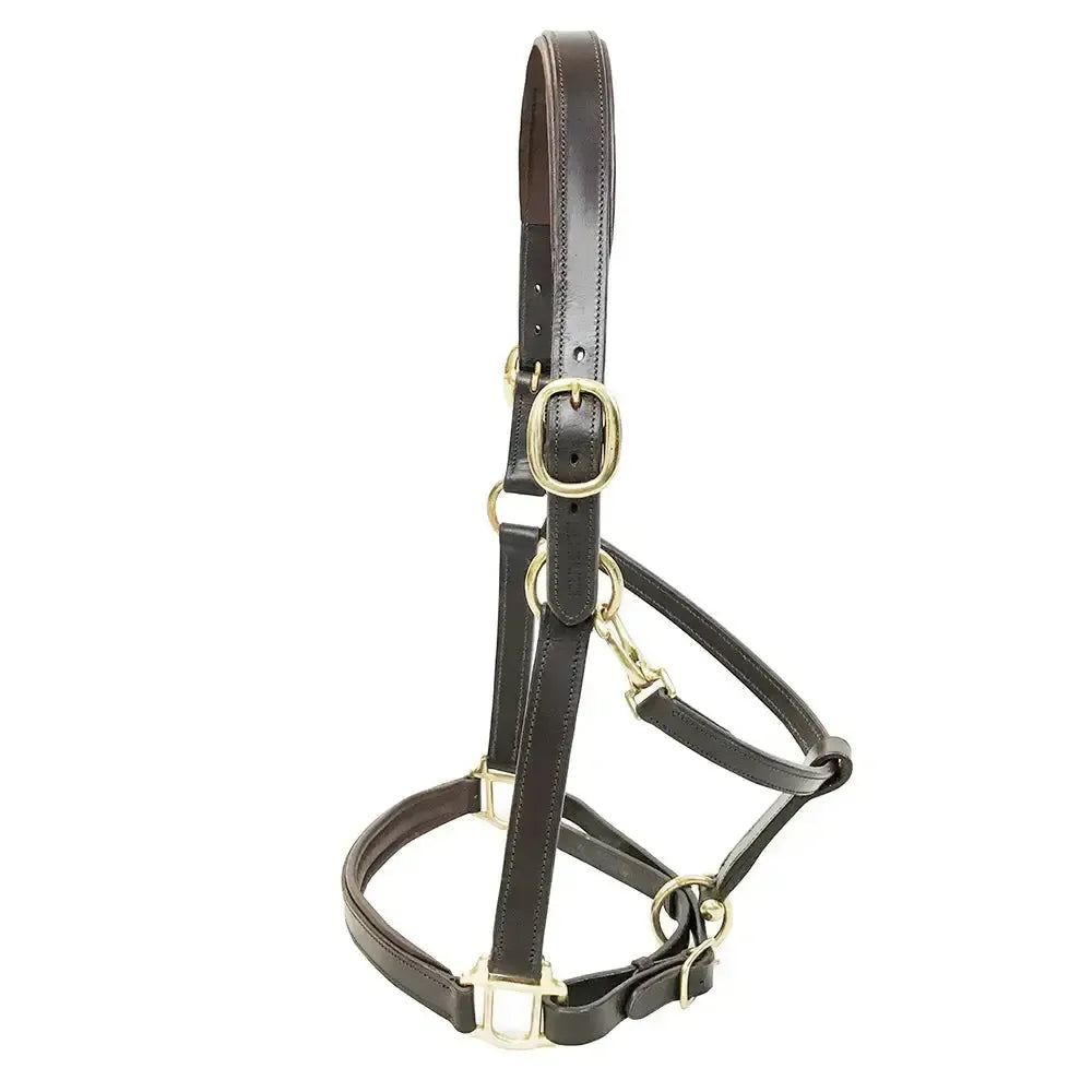 Primera Padded Leather Headcollar Havana Large (Full) Headcollars