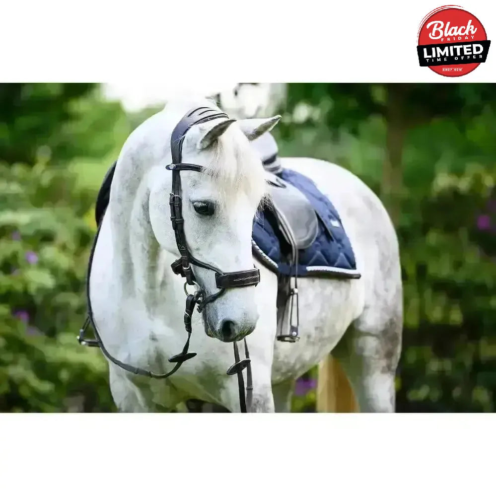 PS of Sweden High Jump Anatomical Bridles Brown Cob / 2 Bridles