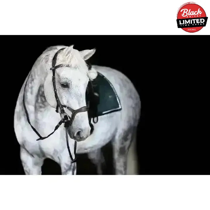 PS of Sweden Nirak Anatomical Bridles Brown Cob / 2 Bridles