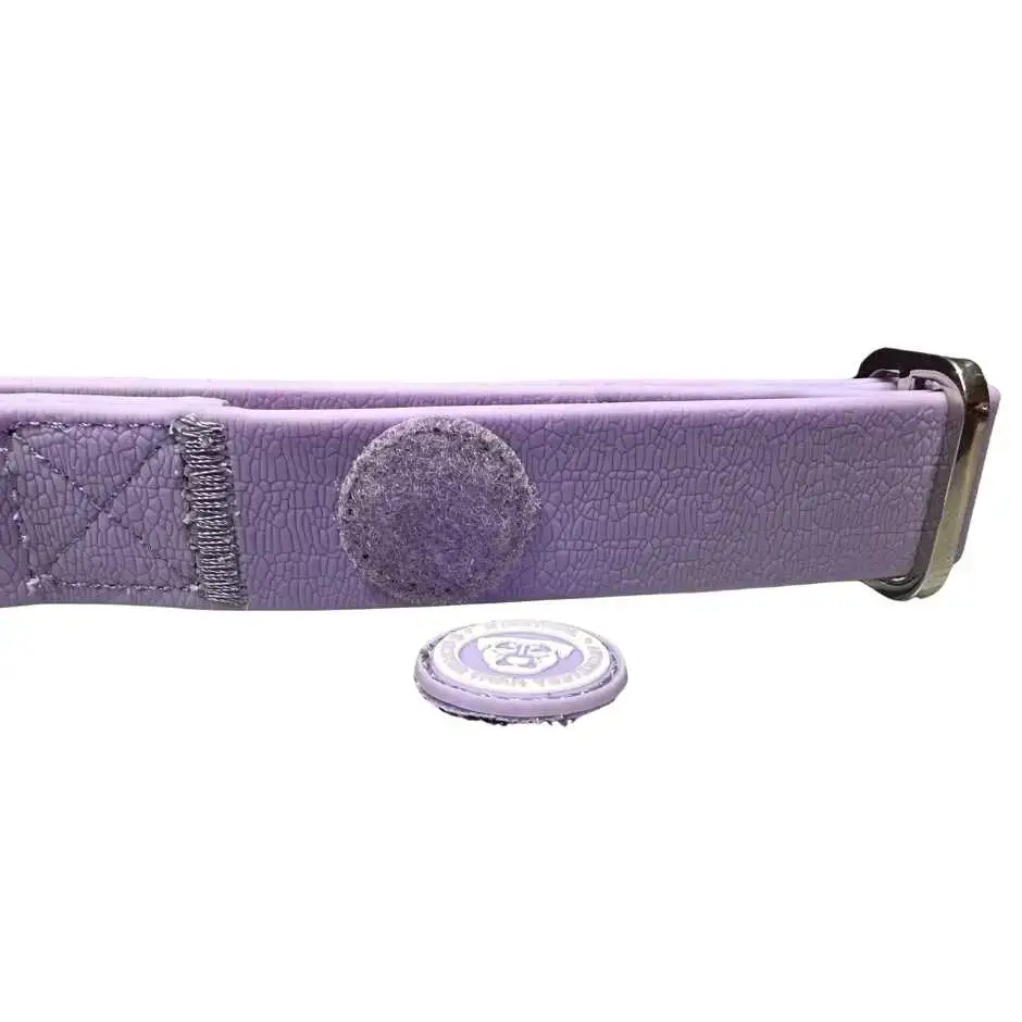 Puppy PVC BTactical™ Collar | Pastel Purple Xsmall Dog Collar