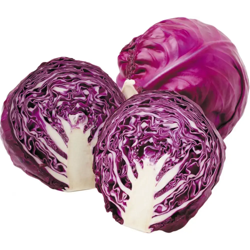 Red Cabbage vegetables