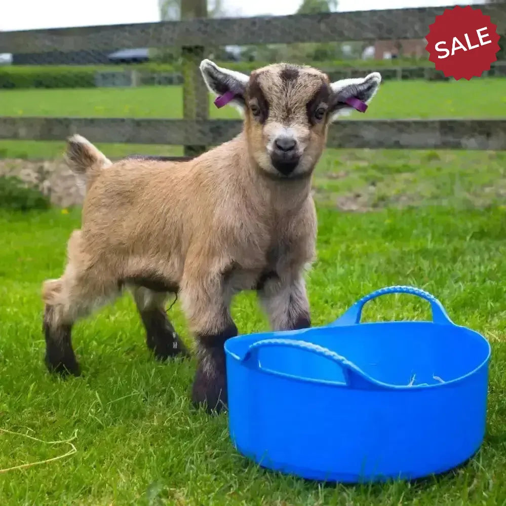 Red Gorilla Flexible Shallow Buckets 5L Mini Red Buckets & Bowls