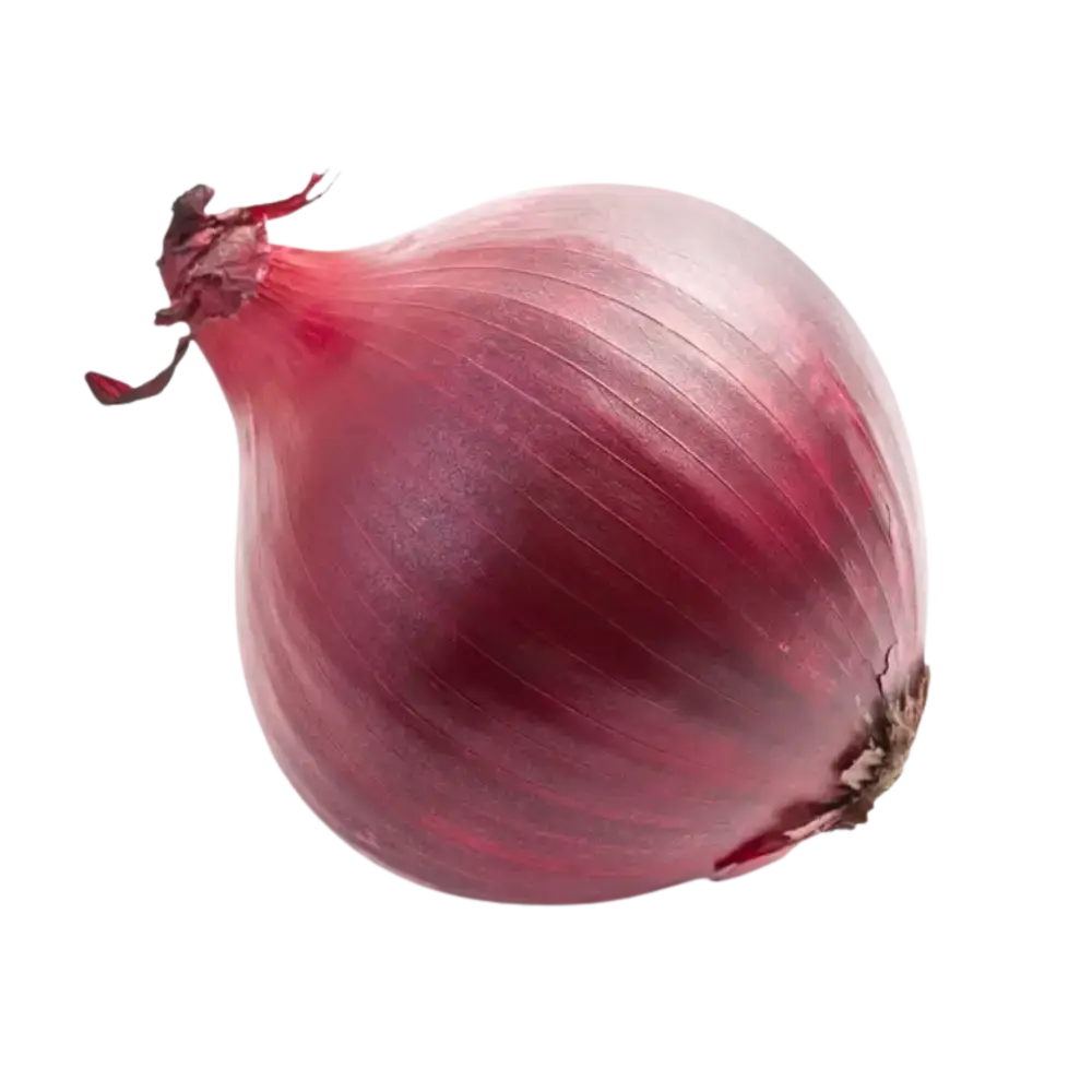 Red Onion vegetables
