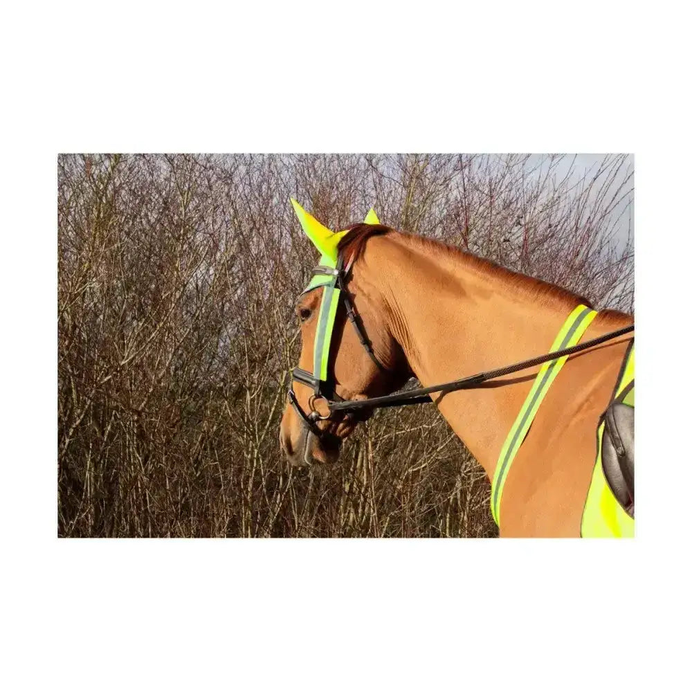 Bright neon yellow reflective martingale with ear covers and bridle straps by hy equestrian to stay safe