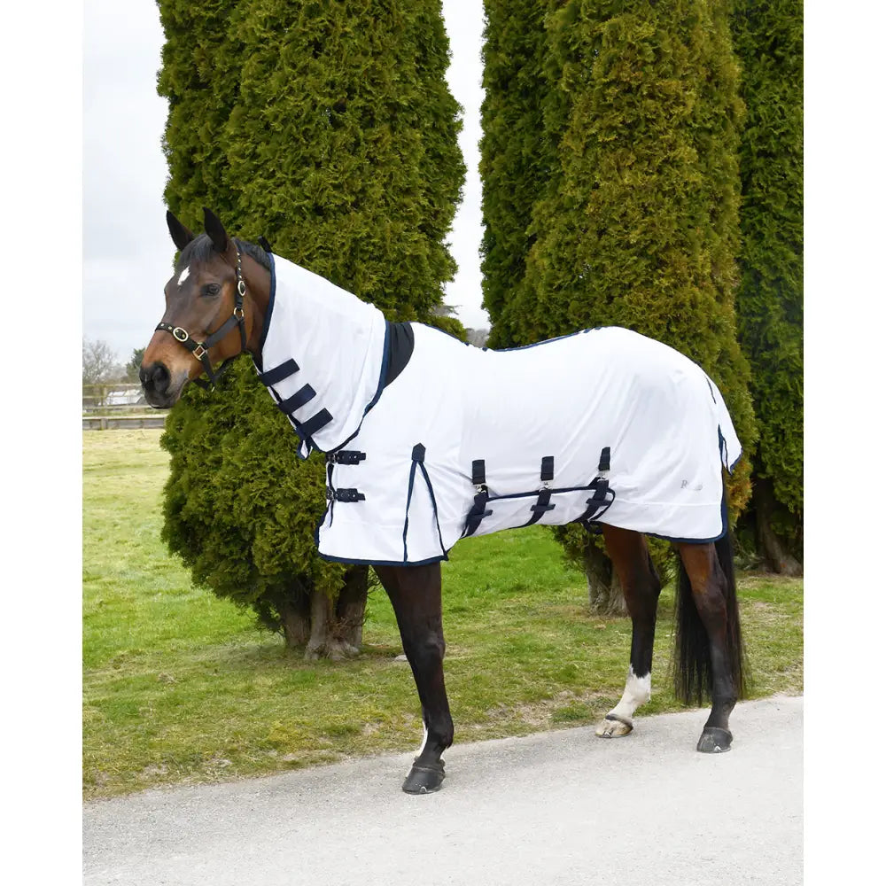 White horse blanket with black trim and adjustable straps rhinegold fly rugs fully breathable mesh neck fly rug