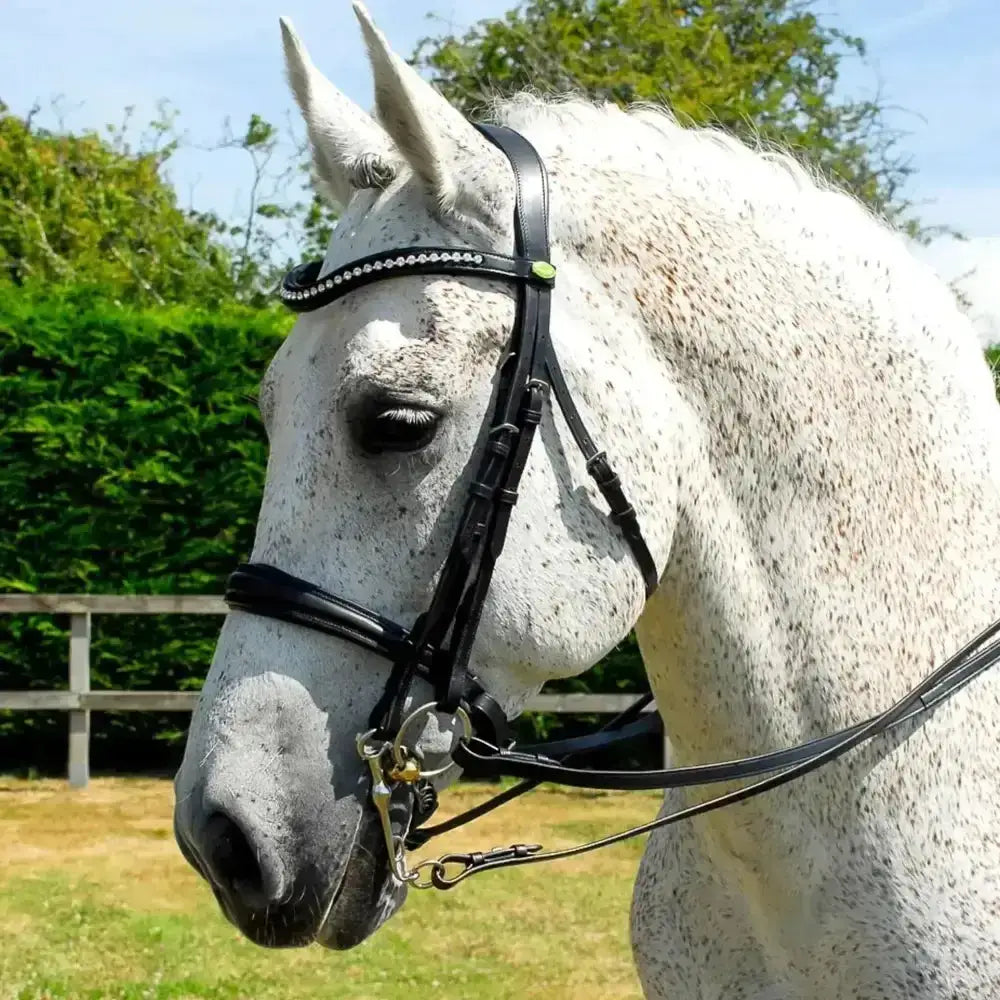 Black italian leather rhinegold anatomic double bridle with crank style noseband and sparkling rhinestone browband