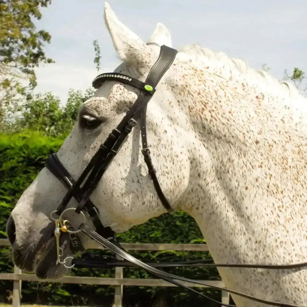 Black leather rhinegold anatomic double bridle with crank style noseband silver studs and green accent italian leather buckle