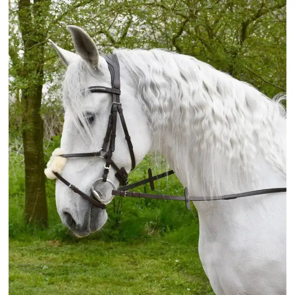 Black leather rhinegold anatomical mexican bridle with silver buckle and metal hardware for horses