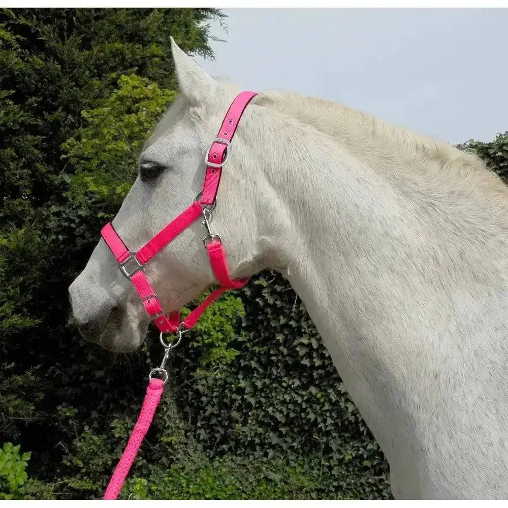 Bright pink leather rhinegold carnival headcollar with silver hardware and soft feel webbing lead rope set