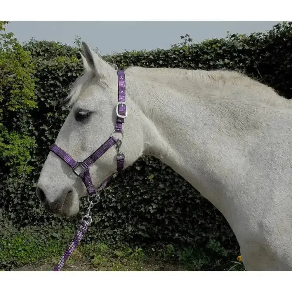 Purple patterned rhinegold carnival headcollar and lead rope set with silver buckle and soft feel webbing