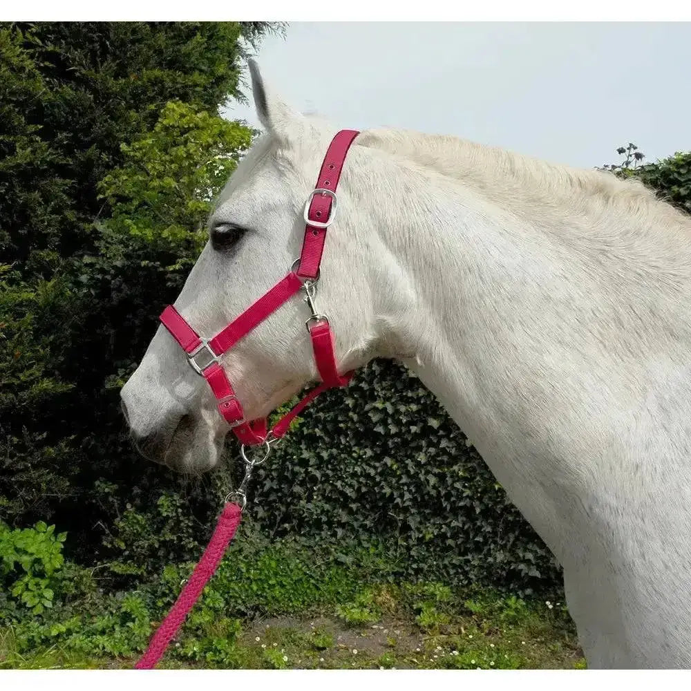 Bright pink rhinegold carnival headcollar and lead rope set with soft feel webbing and silver metal buckles
