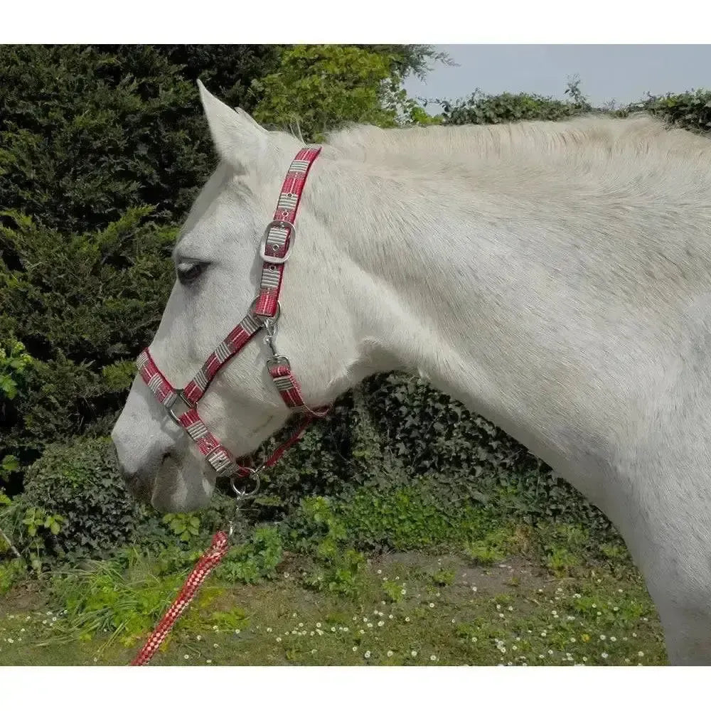 Rhinegold Carnival Headcollar & Lead Rope Set Red Check Cob Headcollar Sets