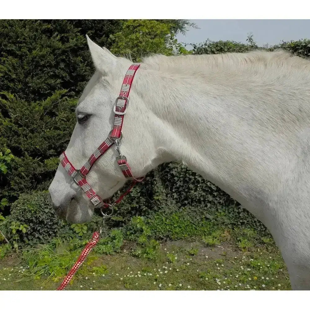 Red and silver patterned rhinegold carnival headcollar and lead rope set with metal buckles and soft feel webbing