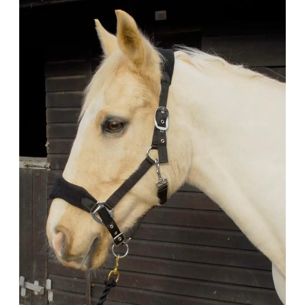 Black leather rhinegold comfort headcollar with silver hardware gold ring and soft padded anatomically shaped headpiece