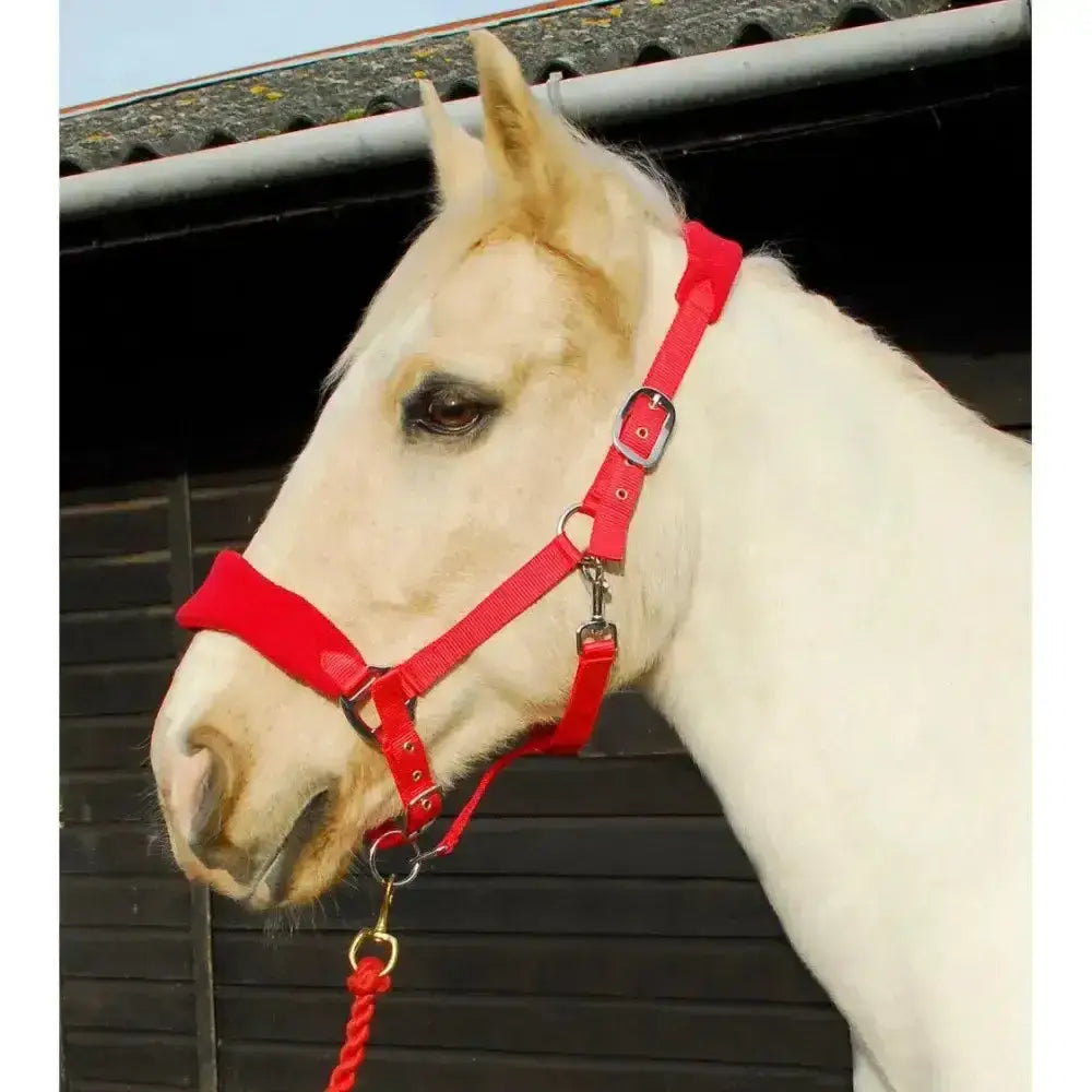 Bright red rhinegold comfort headcollar with soft padded headpiece and anatomically shaped nylon halter and braided rope
