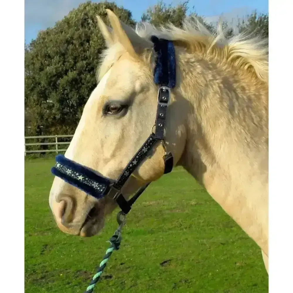 Rhinegold Crystal Star Headcollar & Lead Rope Set Navy / Pink Shetland Headcollar Sets