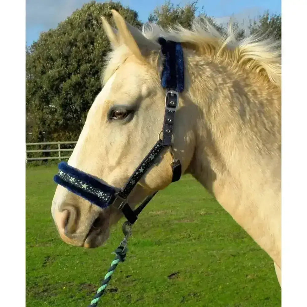 Navy blue plush rhinegold crystal star headcollar with silver star embellishments and trigger clip throat detail