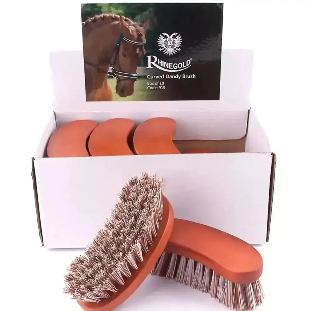 Rhinegold curved dandy brush with terracotta wooden backed handle and natural bristle fibre for grooming