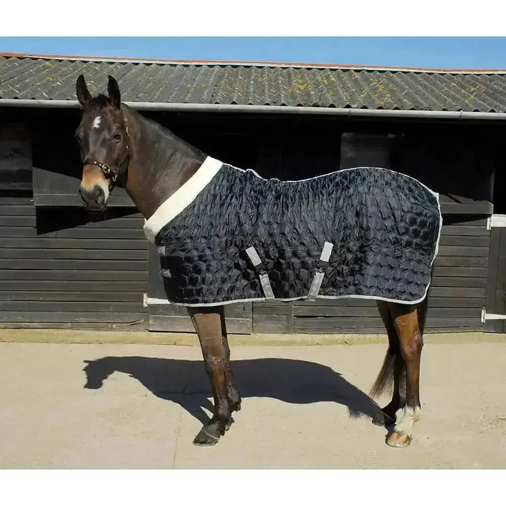 Black quilted rhinegold detroit stable horse rug mid lightweight with white trim and silver buckles for stable use