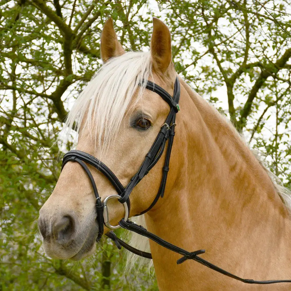 Black leather german leather bridle with silver hardware rhinegold elegance german flash noseband design