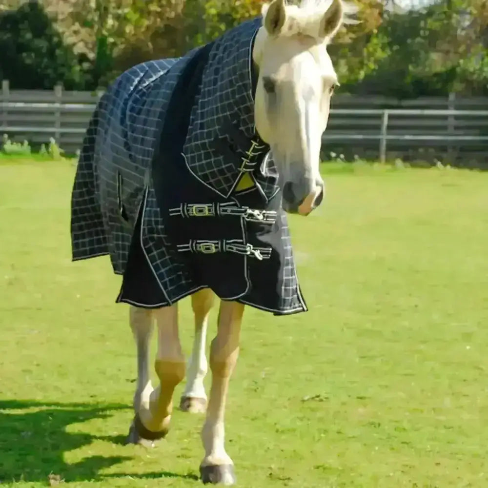 Black and gray plaid rhinegold elite neck montpelier turnout rug with silver buckles lightweight weight turnout rug