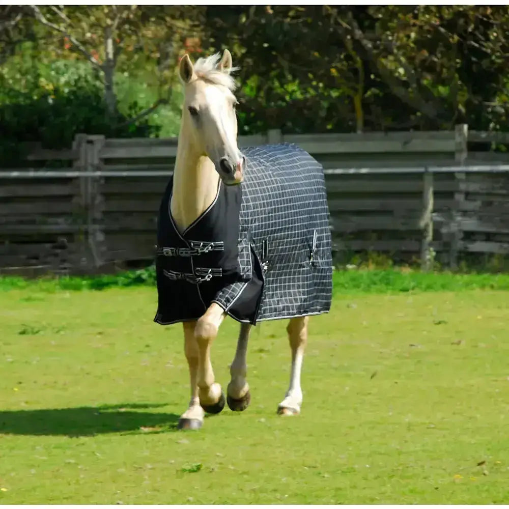 A black and gray checkered rhinegold elite montpelier turnout rug with silver buckles in lite medium weight