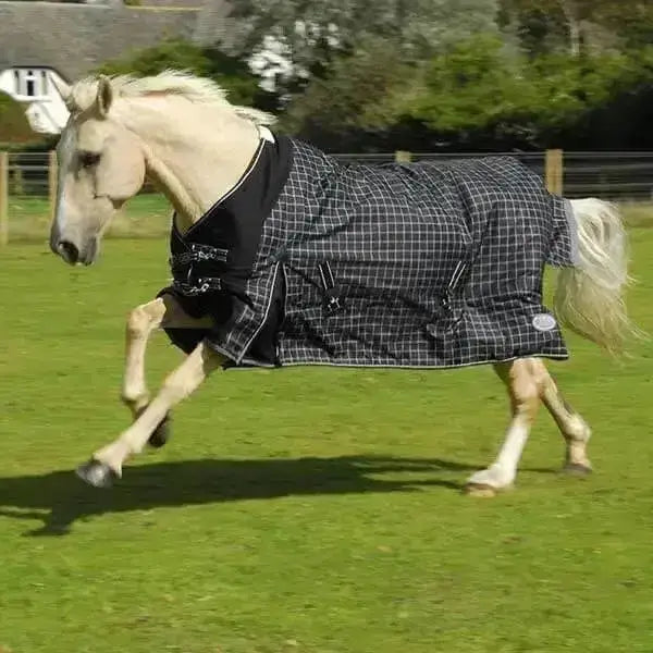 A white horse wearing a black and gray plaid rhinegold elite montpelier turnout rug with silver buckles and standard neck