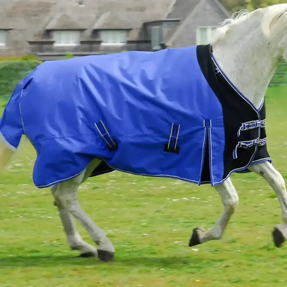 Blue and black rhinegold elite storm outdoor rug with white stitching and waterproof stretch chest panel with straps